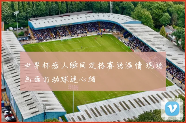 世界杯感人瞬间定格赛场温情 现场画面打动球迷心绪