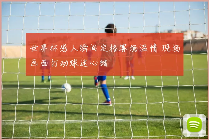 世界杯感人瞬间定格赛场温情 现场画面打动球迷心绪