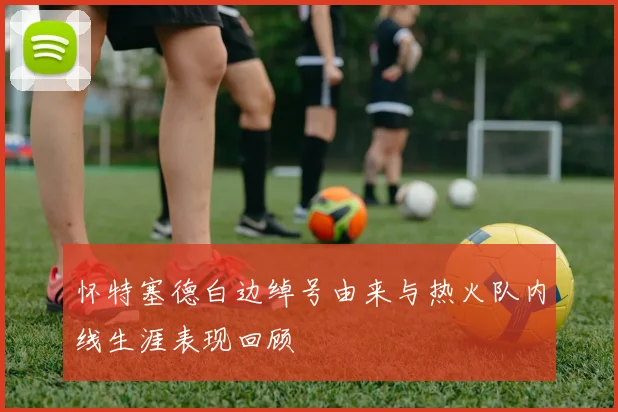 怀特塞德白边绰号由来与热火队内线生涯表现回顾