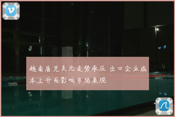 越南盾兑美元走势承压 出口企业成本上升或影响市场表现