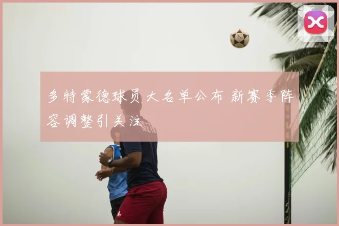 多特蒙德球员大名单公布 新赛季阵容调整引关注