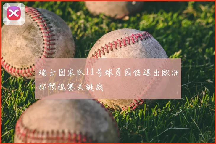 瑞士国家队11号球员因伤退出欧洲杯预选赛关键战